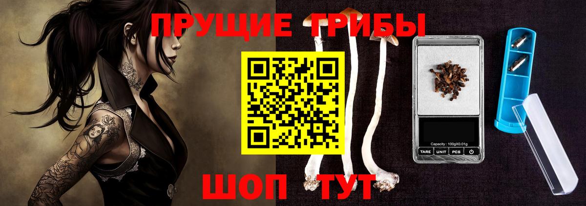 Псилоцибиновые грибы мухоморы  Псилоцибиновые грибы ЛСД  Вход с VPN  Сокол 